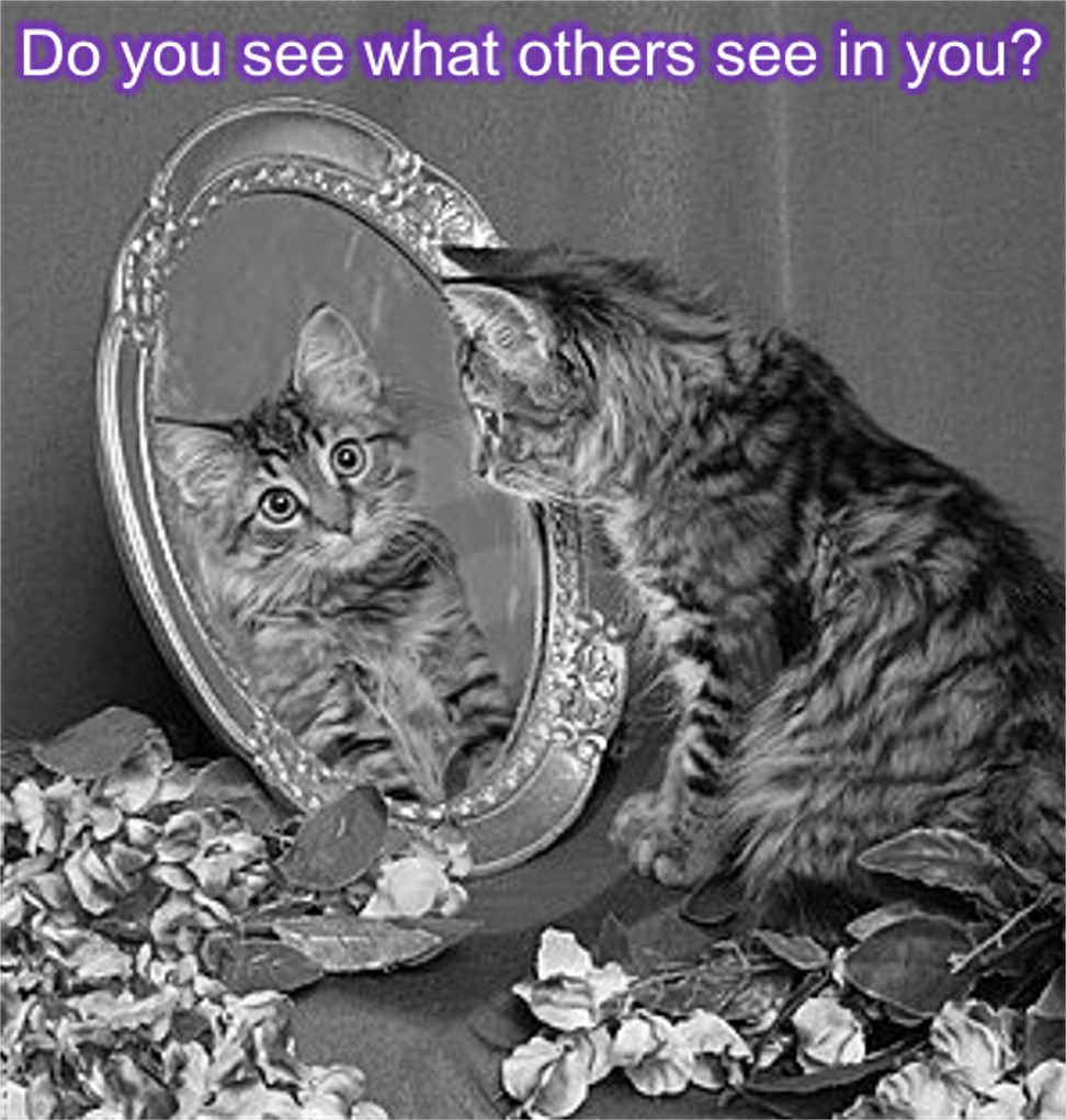 Do you see what others see